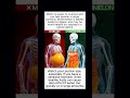 Melon VS Watermelon   See what happens inside your body #health #facts #food