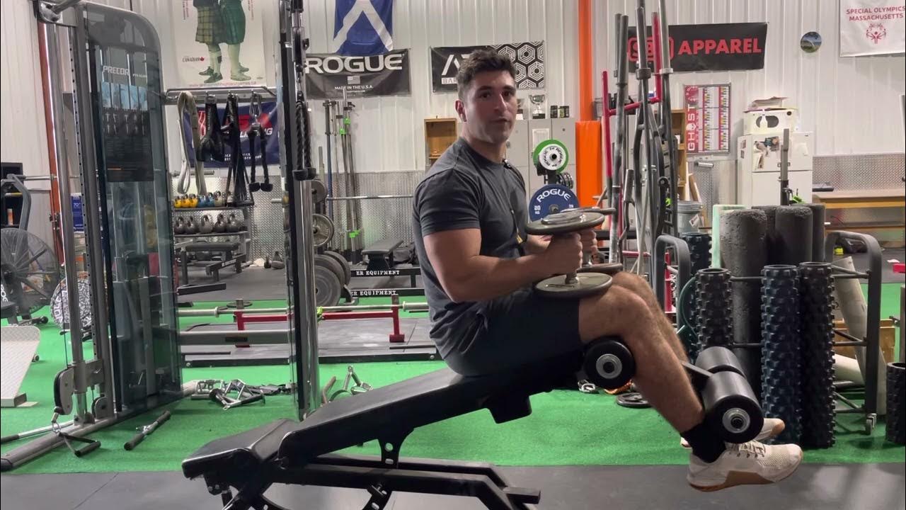 Dumbbell decline bench press (Adonis) YouTube