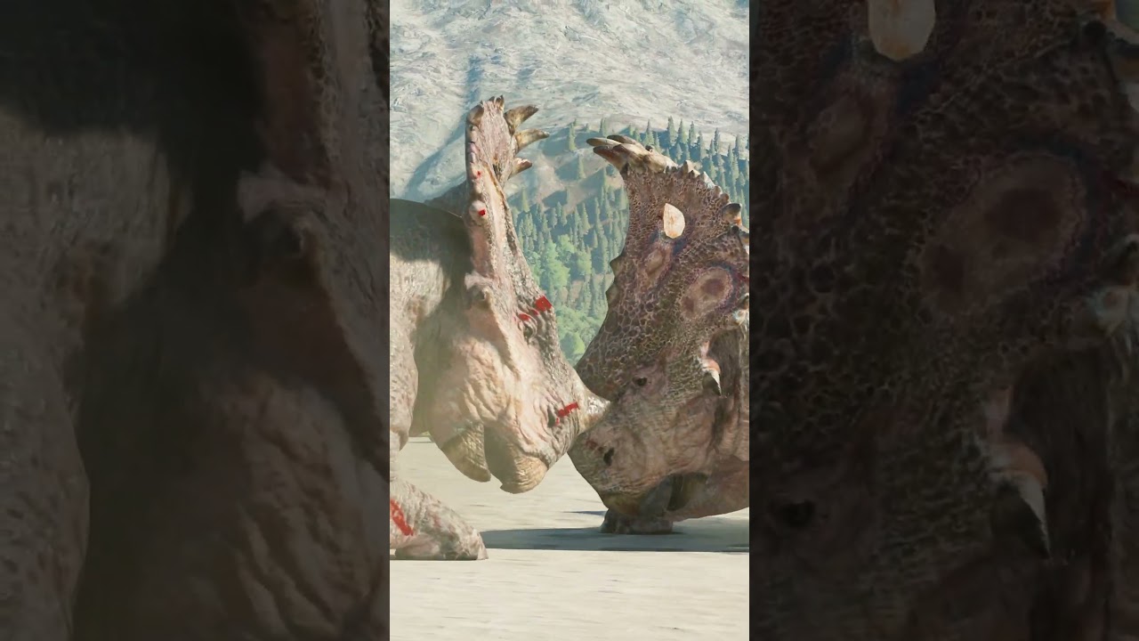 シノケラトプスのスパーリング Sinoceratops Sparring #jurassicworldevolution #dinosaur