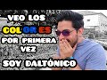 USO LAS GAFAS PARA DALTÓNICOS *mi vida cambió*