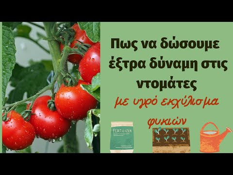 Βίντεο: Πώς να αλάτι αγγούρια και ντομάτες σε μισή μέρα