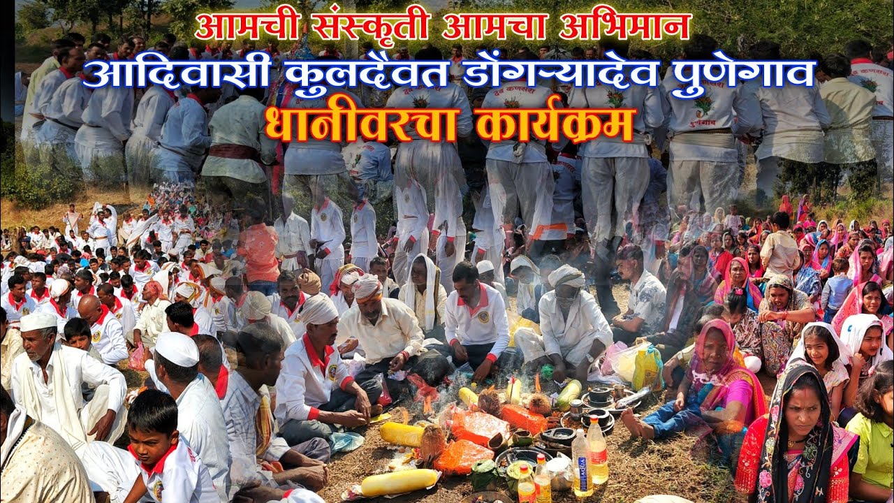 धानीवरचा कार्यक्रम 🌾🏹🌍🙏 आदिवासी कुलदैवत डोंगऱ्यादेव उत्सव पुणेगाव 🌾🇵🇱  #dongaryadev #nitinmahaleyt