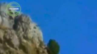 ハンター側!!!狼男対イーグルス - スネーク - 鹿 - 動物の攻撃。 狼男症候群 検索動画30 ハンター側!!!狼男対イーグルス - スネーク - 鹿 - 動物の攻撃。 狼男症候群 検索動画 30