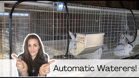 How to Install an Automatic Rabbit Watering System