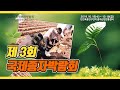 대한민국 종자기술이 한 자리에! 2019국제종자박람회