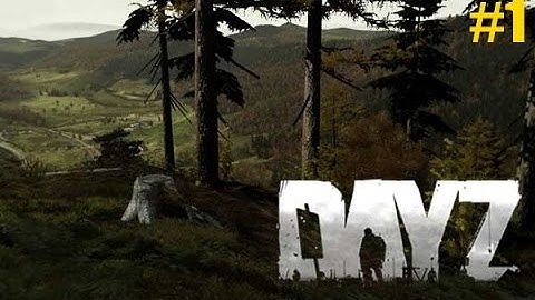 Dayz Part 1 Close Encounters