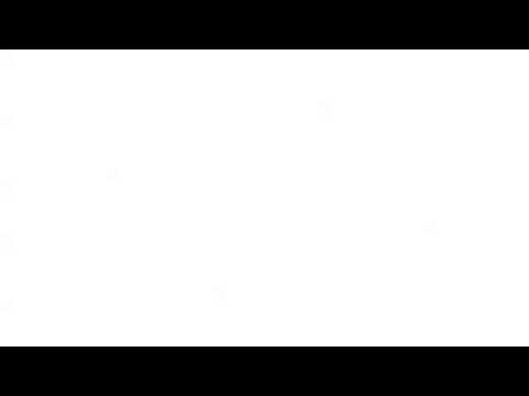 チンアナゴのブルース
