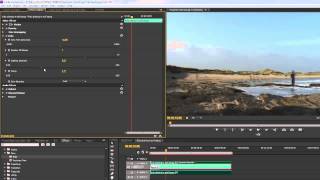 Premiere Pro CS6 Techniques: 95 Time 4: Playing with Echoes