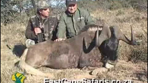 East Cape Safaris - Hunting
