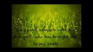She Wolf (David Guetta Ft. Sia-Cover)- Luciana Zogbi & Gianfranco Cassanova-Lyrics
