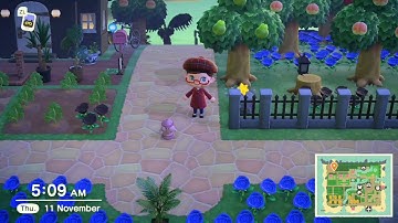 Bubbloid - Confirming the Rumored Gyroid - ACNH v.2.0