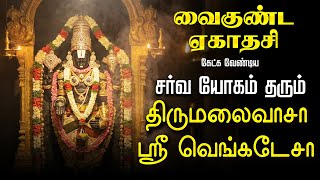 Download Lagu 🔴LIVE SONG வைகுண்ட ஏகாதசி திருமலைவாசா ஸ்ரீ வெங்கடேசா பெருமாள் பாடல்கள் Saturday Special Perumal MP3