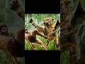 NTR Forest Mein 🔥 Tiger vs Fox | Jungle Ka Sabse Dangerous Face-Off 🐅🦊