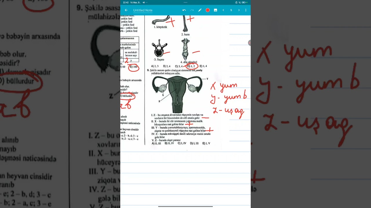 16.03.2025 DİM sınağı biologiya
