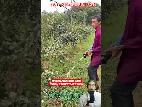 رج أزهار الحمضيات كالسحر خدعة لتعزيز نكهة الفاكهة في 3 ثوان   