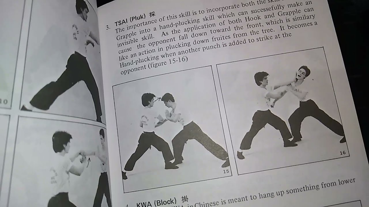 CMA Fighting Principles in Combat Sports (7 Star Mantis 12 Character Principles)