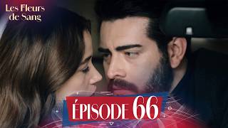 Les Fleurs de Sang – Épisode 66 | Épisode Sous-Titré En Français| Nouvelle série turque 2026