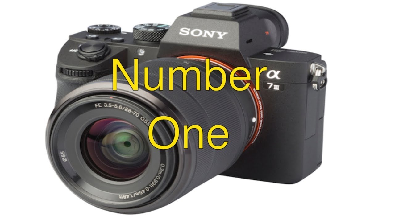 Canon EOS R Vs Sony a7iii, Best camera colour reproduction, Sony