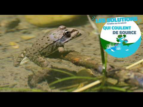 Marathon pour la biodiversité, restaurer la trame turquoise dans Provence Alpes Agglomération