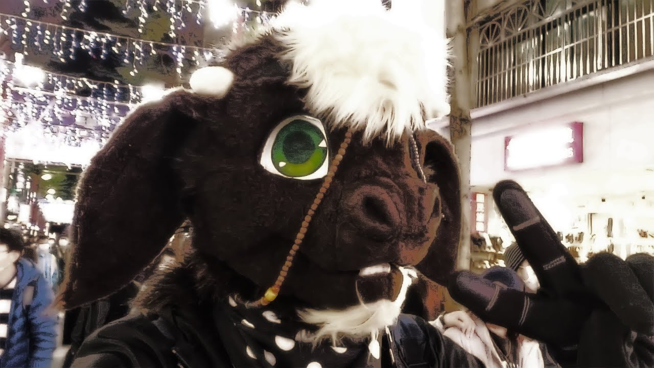 My Fursuit Christmas Adventure in Taipei!