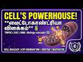 CELL - 6.) Cell-இன் Powerhouse! Mitochondria Explained ⚡