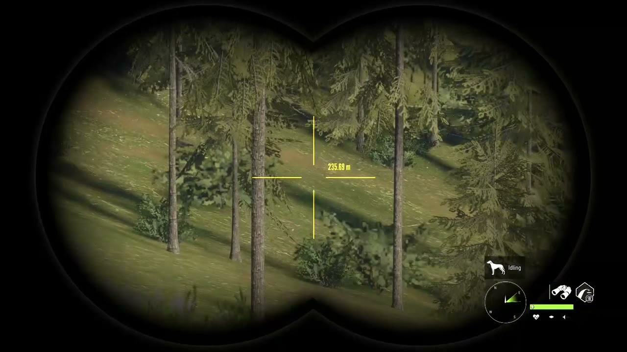 (Melanistic mountain lion) call of the wild