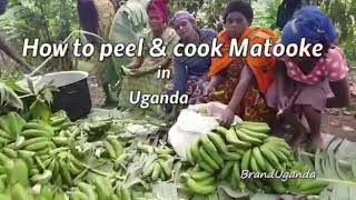 How to Cook and Peel Matooke from Uganda 🇺🇬