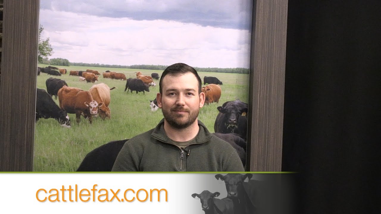 CattleFax Closing Bell: Strong Finish for Retail Beef Prices– January 16, 2026