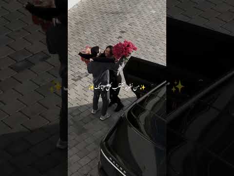 حالات واتس ب الصدفه تقابل بنت جميله كايروكي احلامنا