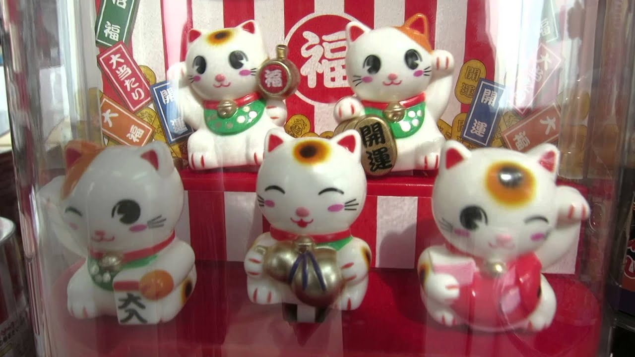 ÙØªÙجة Ø¨ØØ« Ø§ÙØµÙر ع٠âªjapanese cat toyâ¬â