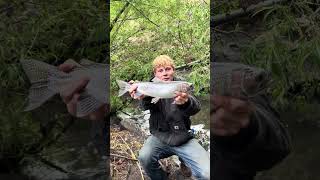 Nice stream bow! #colorado #walleyefishing #fishing #bassfishing #trout #troutfishing