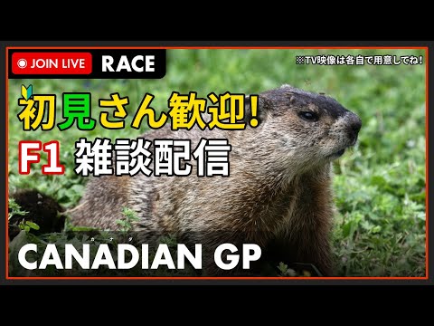 【F1 2023】初見さん歓迎！LIVE CANADIAN GP Race - カナダGP 決勝 #こゆきライブ 909