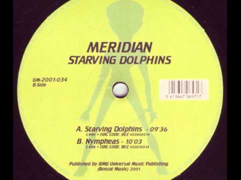 Meridian — Meridian - Starving Dolphins