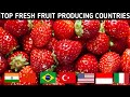 TOP 10 Fresh Fruit Producing Countries in the WORLD