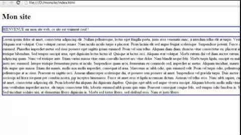 20- HTML & CSS   La couleur et la largeur des bordures