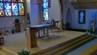 Third Sunday of Ordinary Time ~ 11AM Mass ~ January 25,  2025