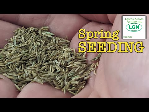 Every Reason NOT to SEED Your Lawn In Spring