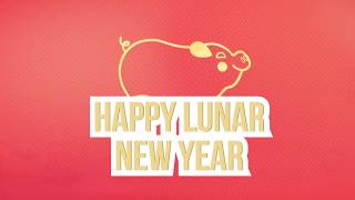 C.A.T.S. Lunar New Year - The Pig Set