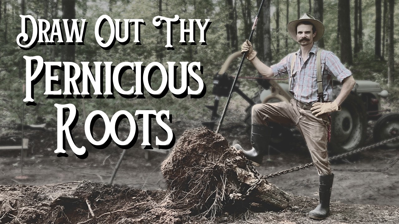 EP# 8 Removing a Stump by Hand | Building and Off Grid Cabin - YouTube