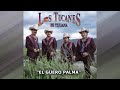 LOS TUCANES DE TIJUAN  EL GÜERO PALMA