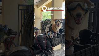 Let’s goo . #vlog #lifestyle #rider #bangalorevlogs