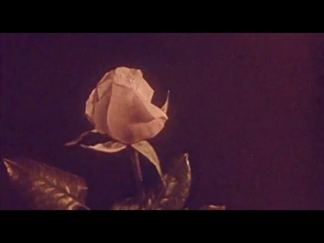 Elise Davis - Summertime