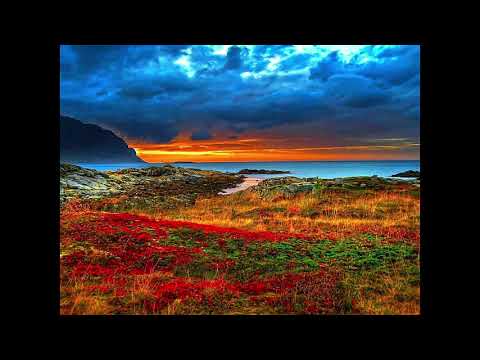 Devendra Banhart - Never Seen Such Good Things (Lyrics)