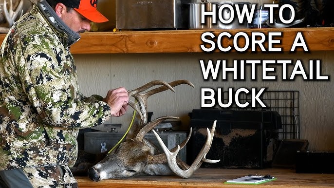How To Score A Deer!!! Plus A FREE Scoresheet download! 