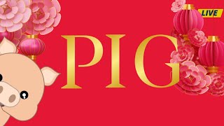 The Pig Boar Born in 1983
