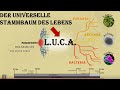 Last Universal Common Ancestor (LUCA) (Vorlesung Entstehung des Lebens Teil 10)