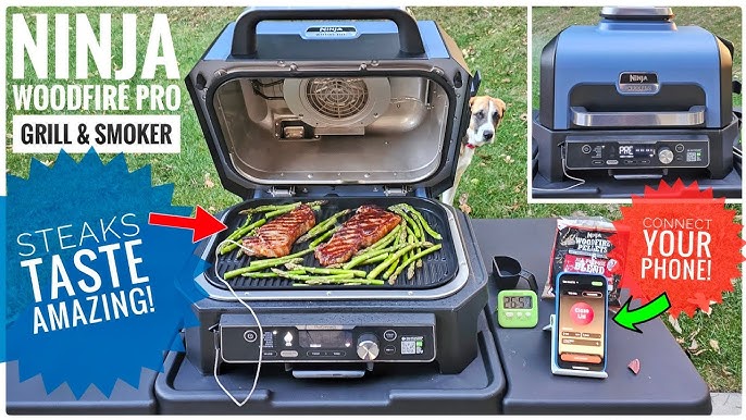 Is the New Ninja Woodfire ProConnect XL Grill & Smoker worth the