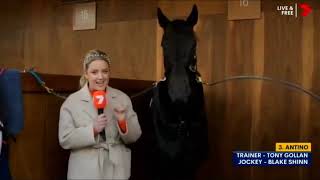 2025 MRC CAULFIELD Memsie Stakes