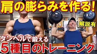 【筋トレ】ダンベル5種目で三角筋全体を鍛えて肩の膨らみを作る増量期のトレーニング【解説有】
