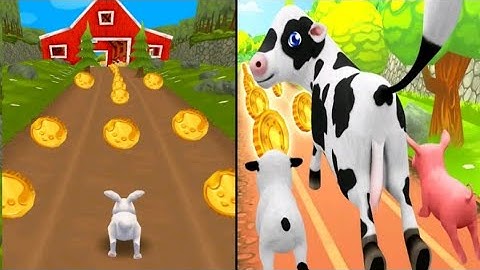Pets Runner Game | Rabbit Pet Run Android Gameplay | New Pet Run Game | Rabbit Run | Pet Care Run